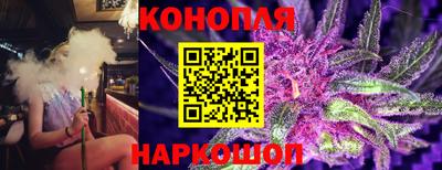 mdpv Коммунар