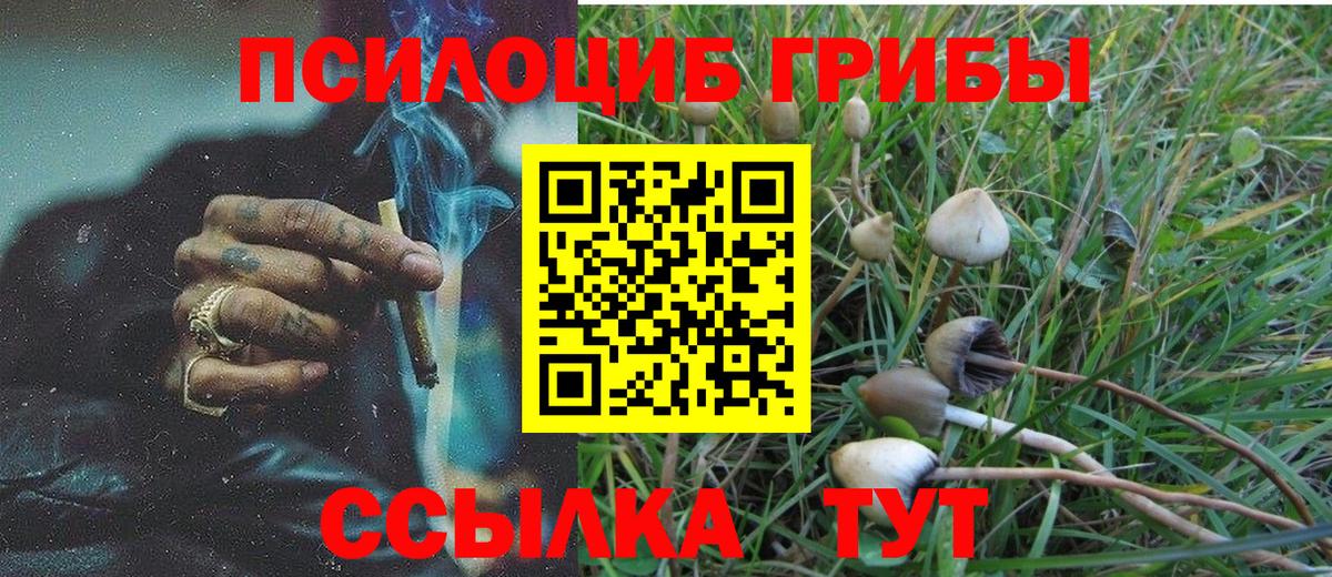 Псилоцибиновые грибы Psilocybine cubensis  Вход с VPN  Псилоцибиновые грибы мицелий  Узловая 